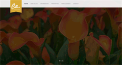 Desktop Screenshot of calla.nl