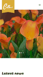 Mobile Screenshot of calla.nl